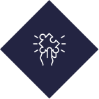 Custom Solutions